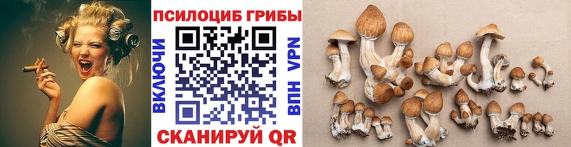 где можно купить наркотик  Шали  ссылка на мегу вход  Галлюциногенные грибы прущие грибы 