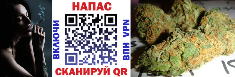 Бошки Шишки сатива  Шали 